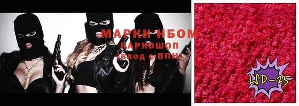 прущие крисы Зеленокумск
